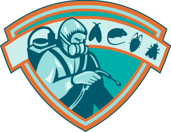 Fumigation Companies In Faisalabad