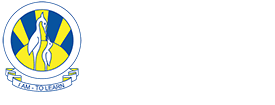 The City School
