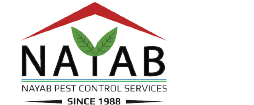 Nayab Pest Control Services